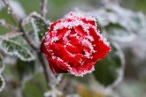 Үсік жүреді: бүгін еліміздің барлық өңірінде дауылды ескерту жарияланды