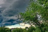 Дауыл тұрып, тұман түседі: Еліміздің бірқатар өңірінде дауылды ескерту жарияланды