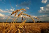 Жаздың соңғы күндері күн райы қандай болады
