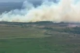 Ақмола облысында орман өртеніп, 2 тікұшақ жұмылдырылды (ВИДЕО)