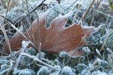 29 қыркүйекте Қазақстанның бірқатар өңірінде үсік жүреді