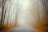 Үсік, тұман: Еліміздің 15 өңірінде дауылды ескерту жарияланды