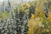 Еліміздің бірнеше өңірінде қар жауып, боран соғады