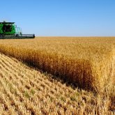 Тасқалалықтар жер баптап, берекеге кенелуде