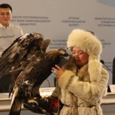 Әлемге танылған бүркітші қыз Айшолпан Қазақстанда деректі фильмге түспекші (ВИДЕО)