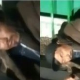 Ішімдікке тойып алған МС Сайлаубек көшеде жатыр (ВИДЕО)