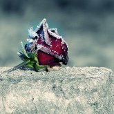 Дінмұхаммед Қонаевтың қарындасы өмірден озды