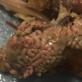 KFC-ге тапсырыс берген бойжеткен тауық ішінен жағымсыз нәрсе тапты