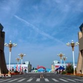 Более 200 кг бесхозных китайских лекарств обнаружили на «Хоргосе»