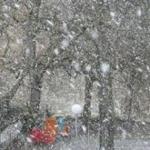 Занятия для учеников 0-9 классов второй смены отменили в Астане