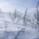 Прогноз погоды в Казахстане на 20 февраля