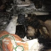 Самолет с наркотиками упал и сгорел в Эквадоре (ВИДЕО)