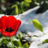 Гроза и дождь ожидаются в Казахстане на Наурыз