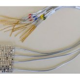 Ғалымдар адамның ойын оқитын технология жасап шығарды