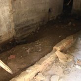 Шымкент: егеуқұйрықтарды жоюға қазынадан 42 млн теңге бөлінетін болды