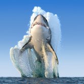 Әлемдегі 6 қауіпті демалыс орын