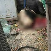 Алматы облысында базарға кіріп кеткен бұқа жолындағылардың бәрін қиратты (ВИДЕО)