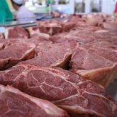 Дабыл: Аршалы ауданына «сібір жарасы» қайдан келді?