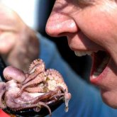 «Терісін сыпырып, етінен манты, қанынан кампот қайнатпақ»: әкесін жемек болған бала туралы