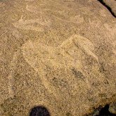 Шымкентте 2 мың жыл бұрынғы ежелгі жазбалар табылды (ВИДЕО)