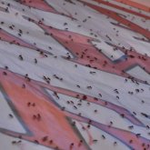 Алтайды қандала басты