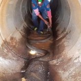 Канализациядан ұзындығы 4 метрден асатын кобрa табылды (ВИДЕО)