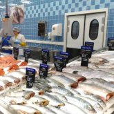 Нұр-Сұлтанда балық өнімінің ішінен паразит табылды