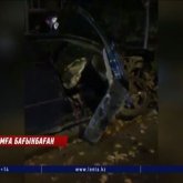 Қызыл түсті кесіп өткен LEXUS жүргізушісінің кесірінен 6 адам зардап шекті (ВИДЕО)