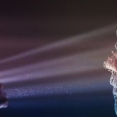 125 000$: Түріңізді сату туралы ойлап көрдіңіз бе?