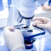 Бие сүтінен косметика жасаған оқушы қомақты қаржыға кенелді