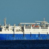 14 мың қой қырылып қалды