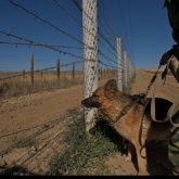 Қазақ-қырғыз шекарасында елшілік қызметкерінің алаяқ әйелді шығармақ болғаны рас па? – министрліктің жауабы