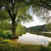 Бай кәсіпкердің мұрагер ұлы адамдарды өлтіріп, тоғанға тастап отырған