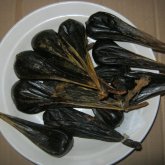 «Бұл – барлық ауруға ем»: алматылық алыпсатарға өзі аз ғана аюдың өтін кімдер әкеп беріп жүр?