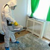 Жаңа заң: жәндіктерді өлтіруге арналған улы химикаттарды сатуға тыйым салынды