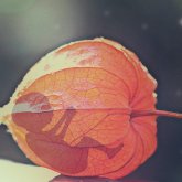 «4 жылдың ішінде 4 рет әр түрлі еркектен түсік жасаттым» - 23 жастағы бойжеткен