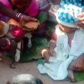 Бір жасар баланы итке үйлендірді (ВИДЕО)