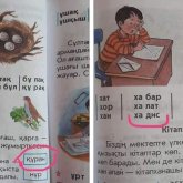 «Салафиттердің жымысқы саясаты ғой»: Аймағамбетовтен оқулықтағы «олқылыққа» жауап беру талап етілді