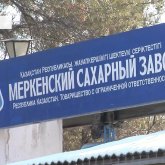 «9 айдан бері еңбекақы алмадық»: жамбылдық шаруалар президентке бейнеүндеу жолдады