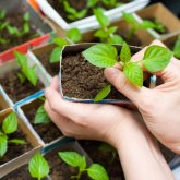 Алматы облысының кей тұрғыны карантин кезінде жаңа кәсіпті меңгерген