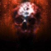 Қостанай облысында адам сүйегі салынған қап табылды