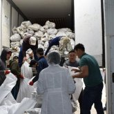 Атырау балықшылары Мақтаралға 20 тонна балық жөнелтті (ВИДЕО)