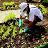 В Нур-Султане продолжаются масштабные работы по озеленению города (ФОТО, ВИДЕО)