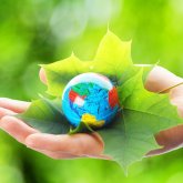 «Бұл өте төмен көрсеткіш»: мектептерде енді экология пәні оқытылады