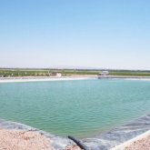 «Өзбекстанның инвесторларына жағдай жасаймыз»: түркістандықтар бау-бақша егуді көршілерден үйренуде