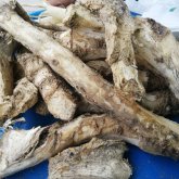 Ақжелкектің (хрен) коронавирустан айықтыруы да мүмкін екен