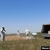 Пневмониядан көз жұмғандар қалай жерленеді? - министр жауабы