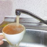 «Шардараның халқы сасыған су ішіп отыр» - Айгүл Орынбек