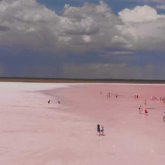 Көбейтұз көлінен қауіпті химиялық заттар анықталды