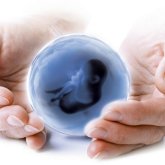 Жасанды ұрықтандыруға мемлекеттік квотаны қалай алуға болады? (ВИДЕО)